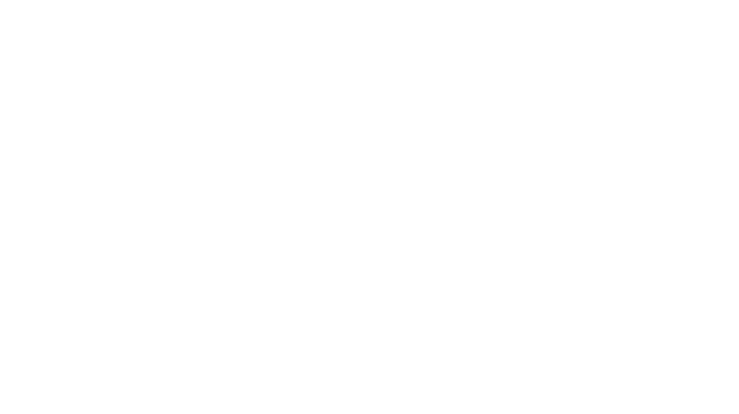 DiRT Rally 2.0
